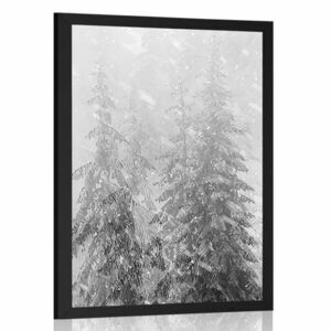 Poszter havas táj fekete-fehérben kép