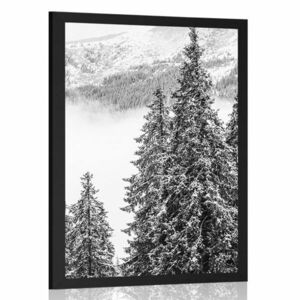 Poszter havas fenyőfák fekete fehérben kép