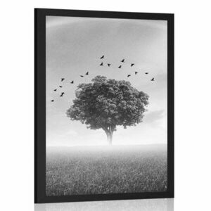 Poszter magányos fa a réten fekete fehérben kép