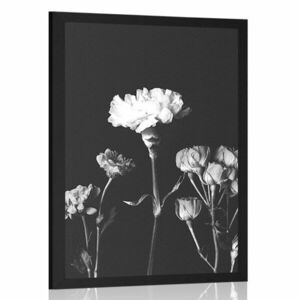 Poszter elegáns fekete fehér virágok kép