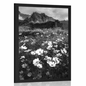 Poszter virágos rét fekete fehérben kép