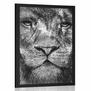 Poszter oroszlán arc fekete fehérben kép