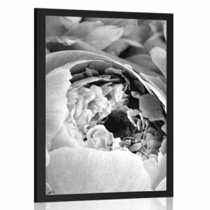 Poszter fekete fehér virág szirom kép