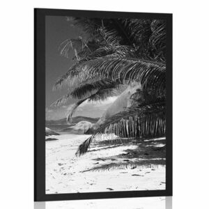 Poszter az Anse Source strand szépségéről fekete-fehérben kép