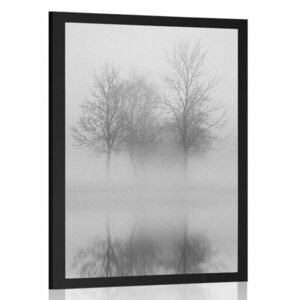 Poszter fák a ködben, fekete-fehérben kép