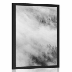Poszter fekete fehér erdő ködben kép