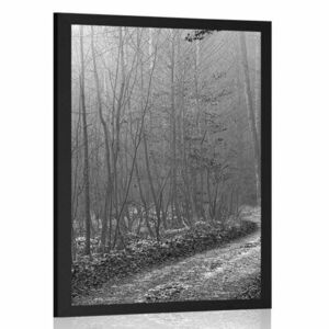 Poszter erdei út fekete fehérben kép