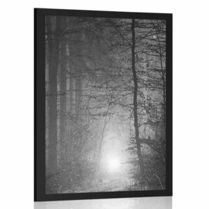Poszter fény az erdőben fekete fehérben kép