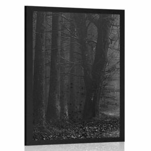 Poszter út a az erdőben fekete fehérben kép