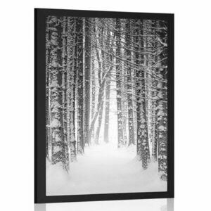 Poszter fekete-fehér hóval borított erdő kép