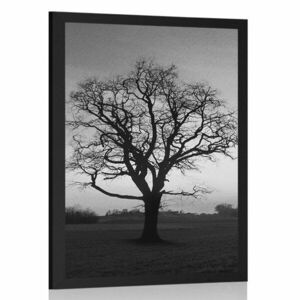 Poszter varázslatos fa fekete fehérben kép