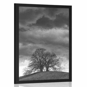 Poszter magányos fa fekete fehérben kép