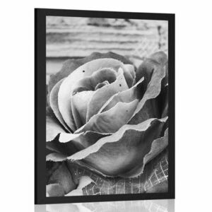 Poszter elegáns vintage rózsa fekete fehérben kép