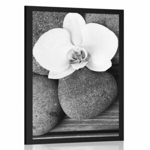 Poszter wellness kövek és orchidea fa háttéren kép