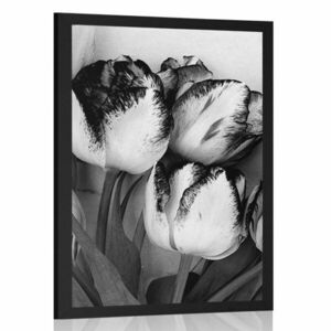 Poszter tavaszi tulipánok fekete fehérben kép