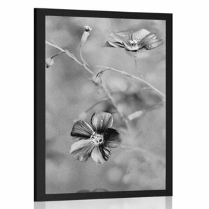 Poszter virágok fekete fehérben kép