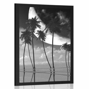 Poszter naplemente pálmafák felett fekete fehérben kép