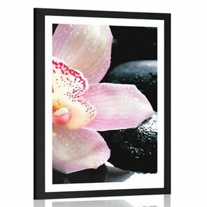Poszter paszportuval exotikus orchidea kép