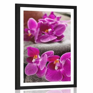 Poszter paszportuval csodás orchidea Zen kövekkel kép