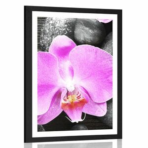 Poszter paszportuval csodás orchiddea és kövek kép
