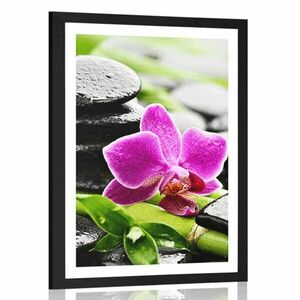 Poszter paszportuval wellness csendélet lila orchideával kép