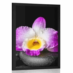 Poszter paszportuval lila orchidea Zen kövön kép
