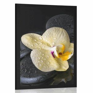 Poszter Zen kövek sárga orchideával kép
