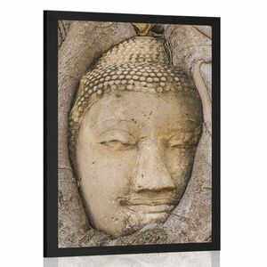 Poszter Buddha szent fügefája kép