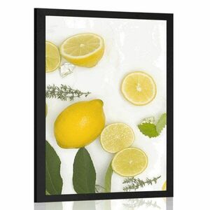 Poszter citrusfélék keveréke kép