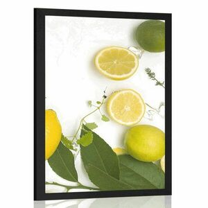 Poszter citrusfélék keveréke kép