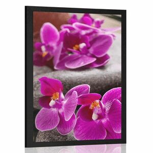 Poszter csodás kövek Zen és orchidea kép