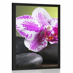 Poszter orchidea és fekete kövek kép