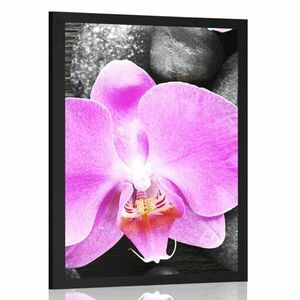 Poszter csodás orchidea és kövek kép