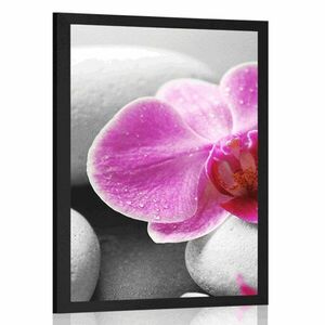 Poszter orchidea virág fehér köveken kép
