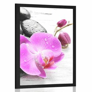 Poszter varázslatos követ és orchidea összjátéka kép