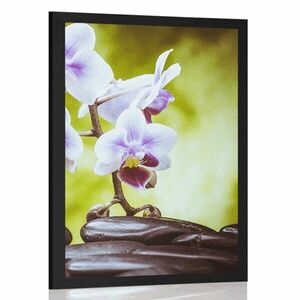 Poszter zen kövek és orchidea kép