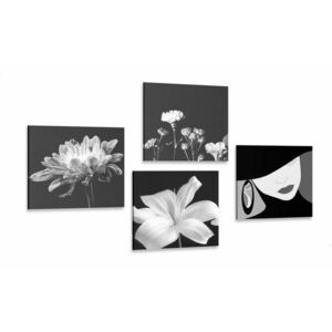 Képszett női elegancia és virágok fekete-fehér változatban kép
