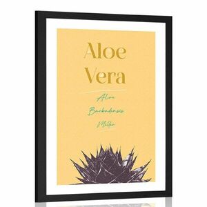 Poszter paszportuval stílusos felirattal Aloe Vera kép