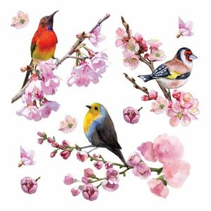 Birds öntapadó dekoráció, 30 x 30 cm kép