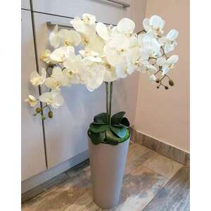 Padlóvázás élethű orchidea bézs vázával kép