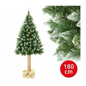 Karácsonyfa tönkön 180 cm fenyőfa kép