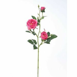 Mű angol rózsa, rózsaszín, 69 cm kép