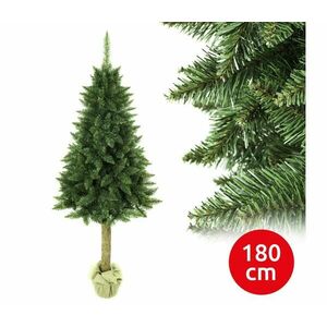 Karácsonyfa tönkön 180 cm fenyőfa kép