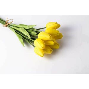 Tulipán gumi 10 szálas kötegben-Citromsárga színű kép