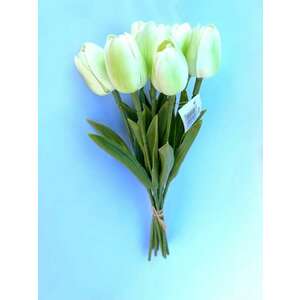 Zöldes fehér gumi tulipán köteg kép