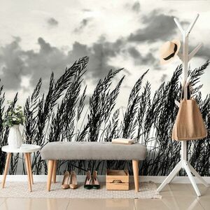 Öntapadó fotótapéta fű szállak fekete fehérben kép