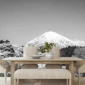Öntapadó fotótapéta Fuji hegy fekete fehérben kép