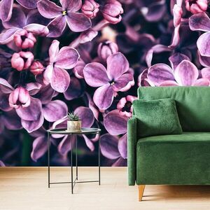Öntapadó fotótapéta lila orgona virág kép