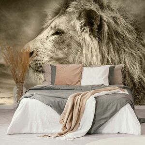 Öntapadó fotótapéta afrikai oroszlán szépia kivitelben kép
