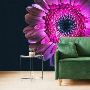 Öntapadó tapéta lila gerbera kép